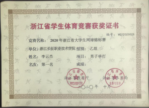 网2